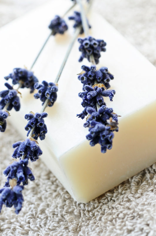 Losing Lavender in Soap? Thoughts from Technical Support at TheSage.com
